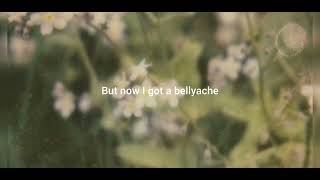 Billie Eilish-Bellyache (lyrics)