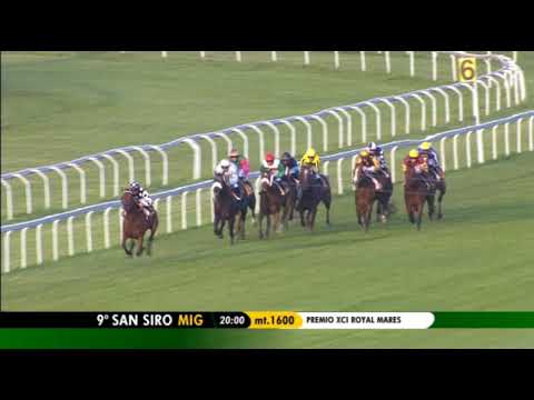 2019.06.23 Premio Xci Royal Mares (ITA) - Style Presa