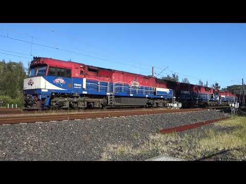 FIE002 / FIE001 / FIE003 with Fletcher's 8148 - 14/3/22