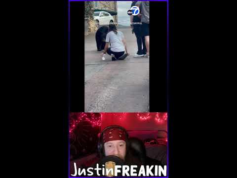 ICE Are Terrorists And Trump Diddles Kids: Prove Me Wrong - 917-830-4359 or discord.gg/BZbDx2TwaH