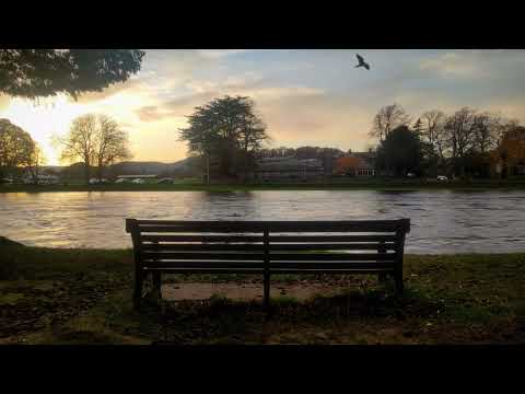 Kotzi feat. daddy_dee - Twoja ulubiona ławka