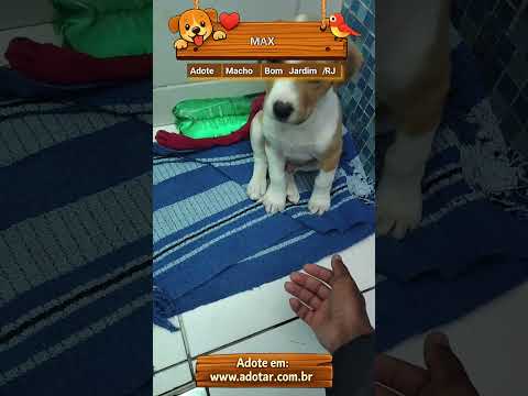 Vídeo de MAX