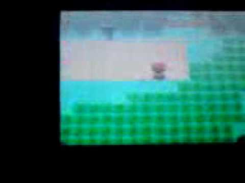 Pokemon Pearl:Rain in Route 213??