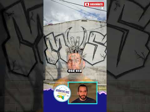 Denuncian a grupo de jovenes que arruinaron un baile en el cantón San Roque de Mejicanos ⚠️ #CECOT