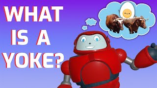Gizmos Daily Bible Byte - 144 - Matthew 11:29-30 - What Is A Yoke