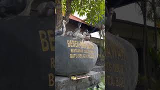 Download lagu BEBEK TEPI SAWAH BATU BELIG #bali #kuliner #kulinerindonesia #kulinerbaliviral mp3