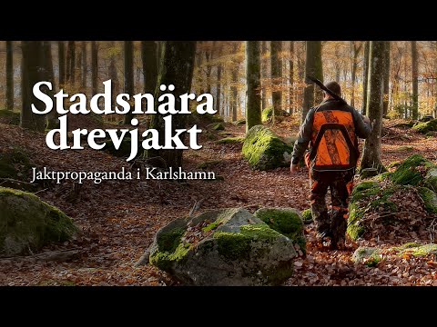 Jaktresan: Stadsnära drevjakt - Jaktpropaganda i Karlshamn