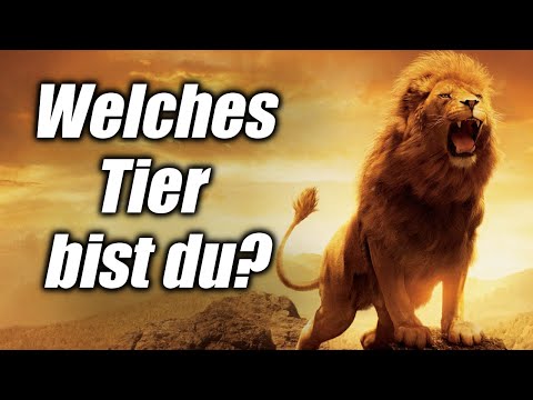 download lagu mp3 mp4 Welches Tier Passt Zu Mir, download lagu Welches Tier Passt Zu Mir gratis, unduh video klip Welches Tier Passt Zu Mir