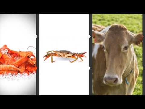 রুপকল্প-২০৪১