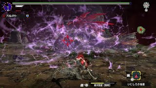 【MHXX】天眼タマミツネ超特殊許可　ソロブシドー双剣