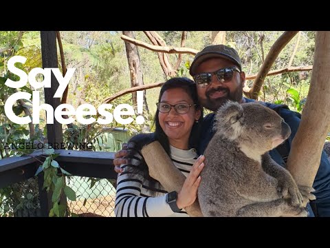 A Day out at the Australian Reptile Park | Gosford | Travel Bugs