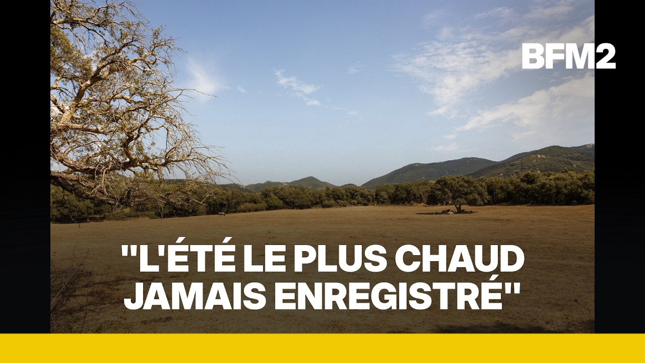 Les 40°C dépassés 178 fois: Météo France fait le bilan des canicules de cet été