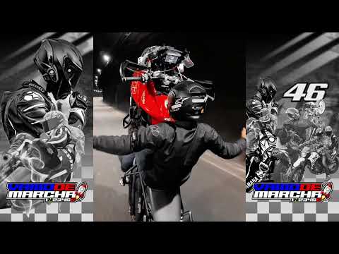 @VamoDeMarcha - MANDRAKE LUNÁTICO