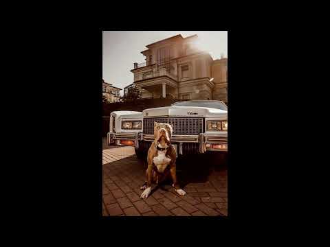 [FREE] G-Funk x Old School Type Beat - "2Step"