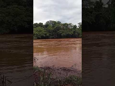 ❌NÃO DÁ PRA PESCAR! 🎣 Rio Vermelho CHEIO em Rondonópolis-MT #Shorts