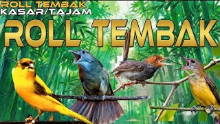 Download lagu Audio jernih | Kombinasi brutal anti ngukluk di gantangan | Prenjak, katem, pijantung, kenari mp3