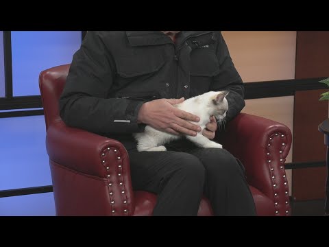 Friday Pet: Abby - YouTube