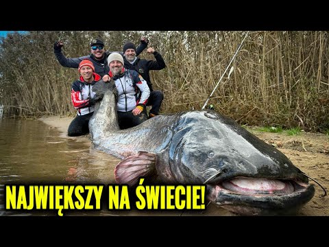 Gigantyczny Sum z Zalewu Rybnickiego – Nowy Rekord Świata