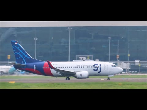 Sriwijaya Air 182 CVR + Mayday recreation (with subtitles)