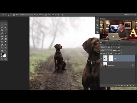 How to Set Up and Use a Wacom Tablet