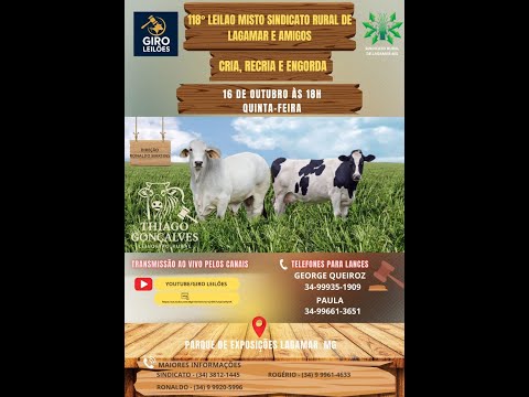 Leilao Sindicado Rural de Lagamar e Amigos  16-10-2025