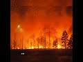 Unstoppable Wildfire Consumes Entire Forest #forestfire #forest #wildfire