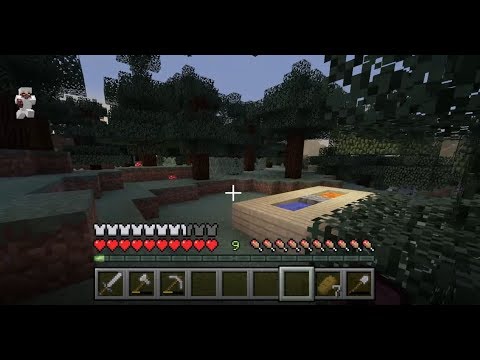 Überleben Part 6: unendliche capple stone farm in Minecraft bauen
