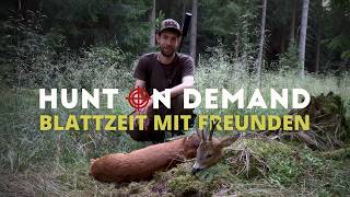 Blattzeit mit Freunden 🌿 Teil 1 von @huntingtommes