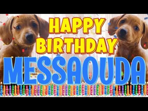 Happy Birthday Messaouda! ( Funny Talking Dogs ) What Is Free On My Birthday