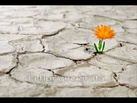 Deus está-Paulo César Baruk