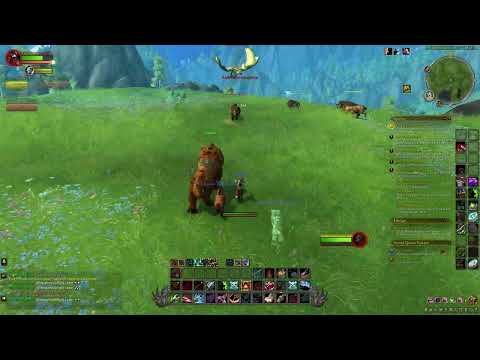 WoW Dragonflight | 451 Quest: Der Jagdhund