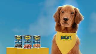 BUSH'S Beans Duke the Star Family Owned