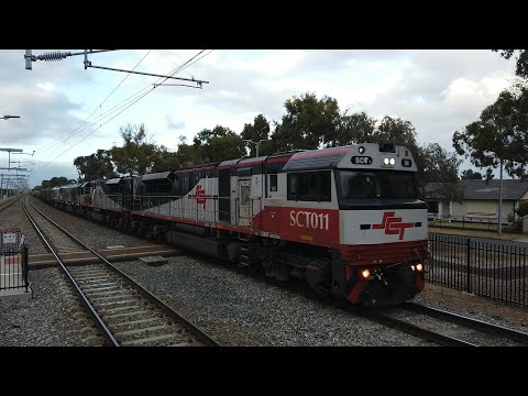 SCT011 + SCT006 + CSR017 + CSR008 #4MA9