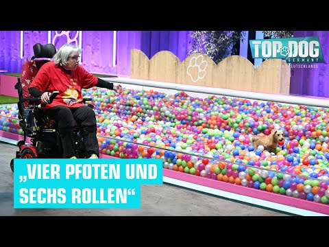 Das beeindruckendste Duo EVER für Buschi 😍 | Top Dog Germany 2024