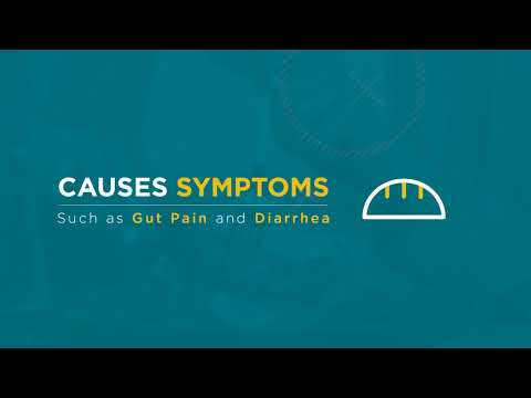 Digestive Disease Week - Customer Success Story