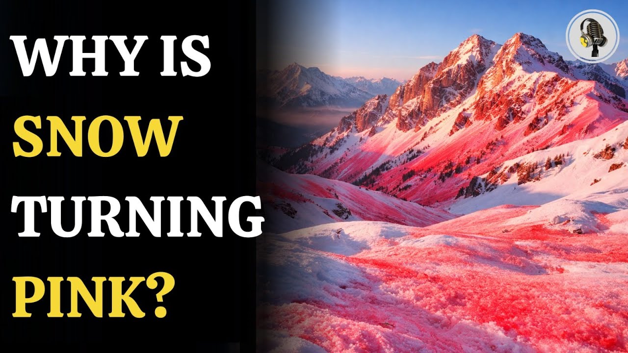Watermelon Snow Turns Utah Mountains Pink | WION Podcast
