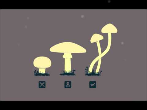 Roty 340 con el Puto Coke - Terreno Minao