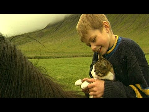 Börn á Íslandi - Kolbeinn og kisa