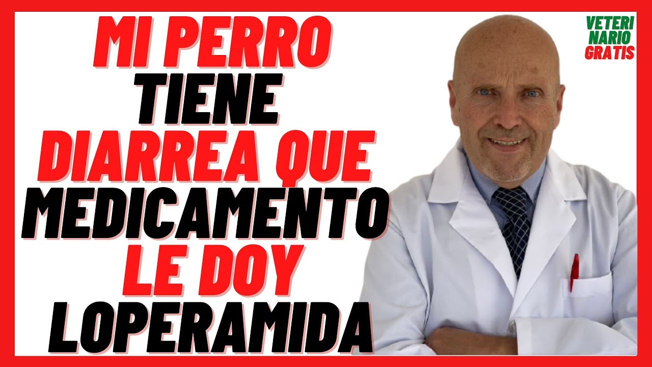 Watch 🟠 Mi PERRO Tiene DIARREA qué MEDICAMENTO le DOY 🟠 LOPERAMIDA (FORTASEC) para PERROS Now 🟠 Mi PERRO Tiene DIARREA qué MEDICAMENTO le DOY 🟠 LOPERAMIDA (FORTASEC) para PERROS