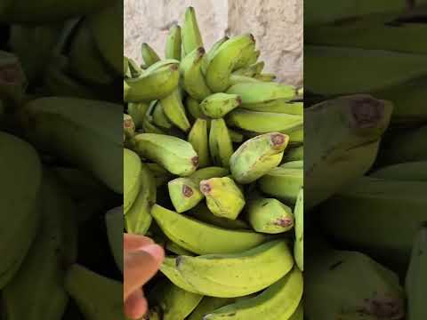 Banana por R$5 😱 Tá barato? #Shorts