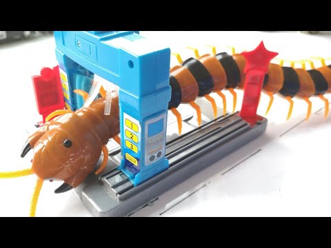 Monster Insect, Snake, Car Wash and Cleaning Toy  Cobra, Cat, cockroach, centipede, Toys For Kids Video