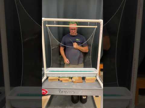 Surface Tension Demo #experiment #science #physics #physicsninja