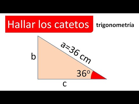 HALLAR LOS CATETOS. CONOCEMOS LA HIPOTENUSA Y UN ÁNGULO. Trigonometría