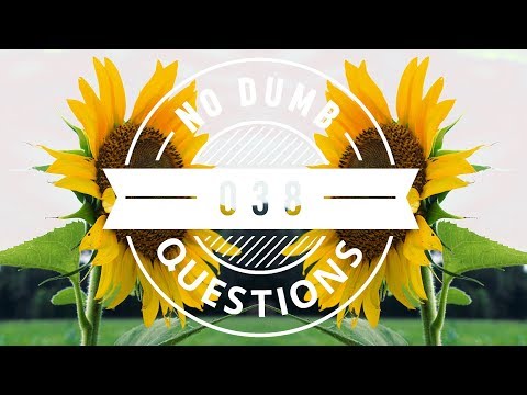 No Dumb Questions 038 - The Hanging Gardens of Babylon