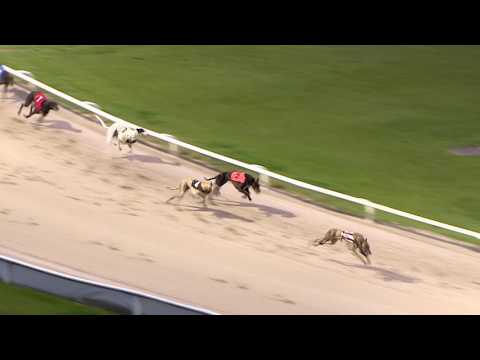 2017 STAR SPORTS DERBY - ROUND 1 HEAT 28 - T6 FOREST CON