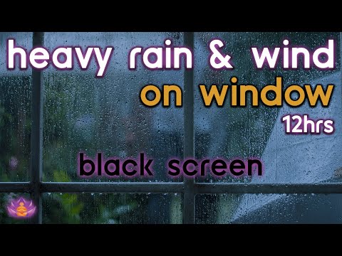 [Black Screen] Heavy Rain and Wind on Window No Thunder | Rain Ambience | Rain Sounds for Sleeping