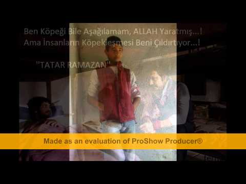 58 misli ta ta ta tam baba  yasta