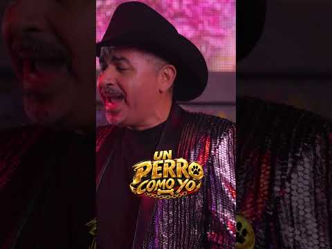 UN  PERRO COMO YO...MUY PRONTO.  JORGE  OSPINA