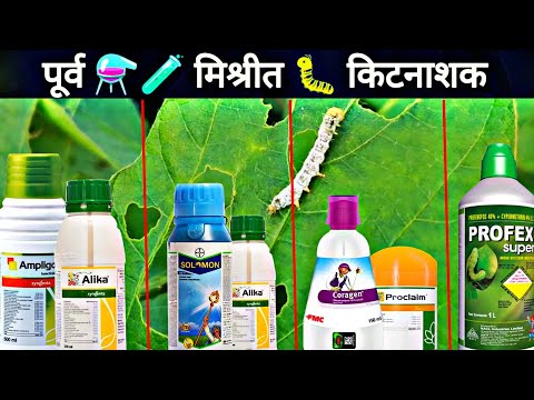 Mix Insecticide | Syngenta Ampligo Alika | Adama Barazide Plethora | Solomon insecticide