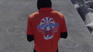 Sea World（シーワールド）